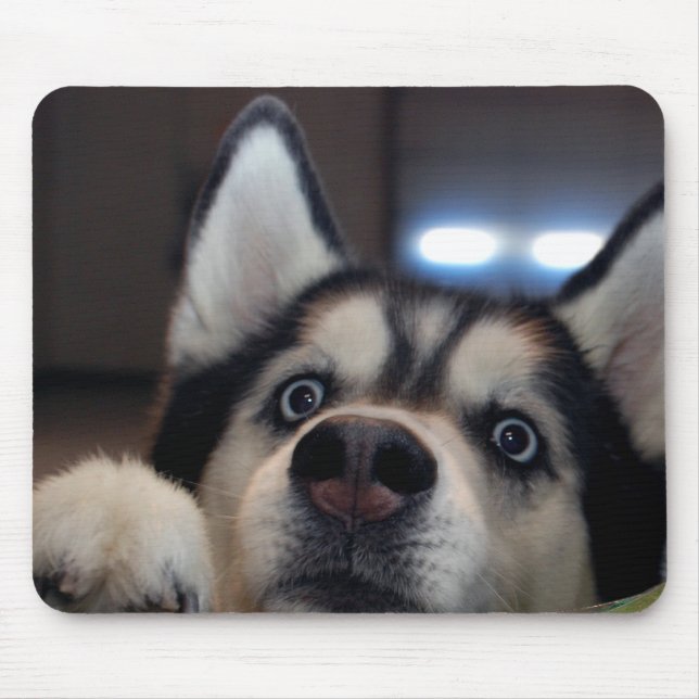 Tapis De Souris Est-ce que quelqu'un est là ? (Devant)