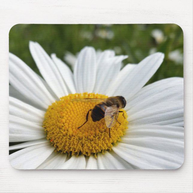 Tapis De Souris et daisy (Devant)