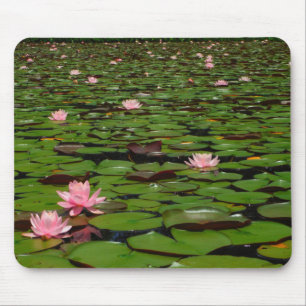Tapis De Souris Etang de fleurs de lys d'eau rose