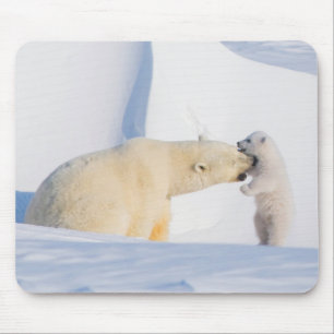 Tapis De Souris États-Unis, Alaska, North Slope   Ours polaires