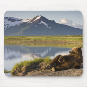 Tapis De Souris États-Unis, Alaska, Parc national de Katmai, Ours