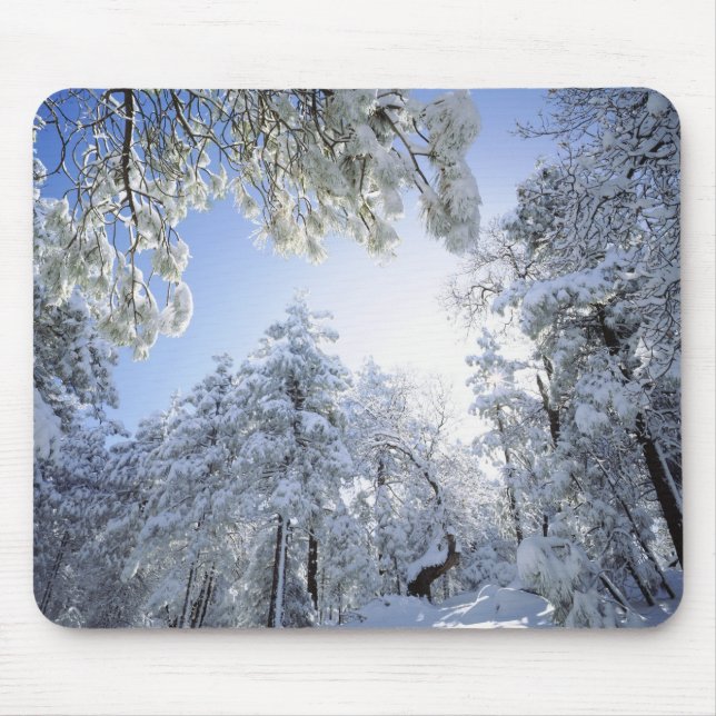 Tapis De Souris États-Unis, Californie, Cleveland National Forest, (Devant)