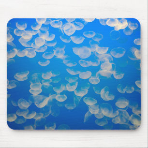 Tapis De Souris États-Unis, Californie. Méduses dans la baie de Mo