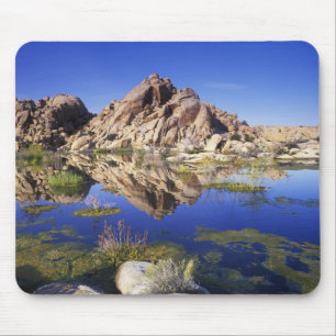 Tapis De Souris États-Unis, Californie, Parc national de Joshua Tr