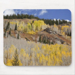 Tapis De Souris États-Unis, Colorado, forêt nationale de Gunnison,