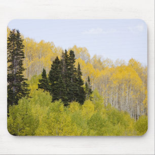 Tapis De Souris États-Unis, Colorado, forêt nationale de Gunnison,