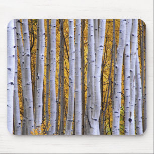 Tapis De Souris États-Unis, Colorado, montagnes Rocheuses.  Scèn