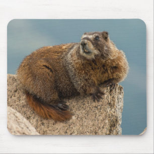 Tapis De Souris États-Unis, Colorado, Montagnes San Juan 2