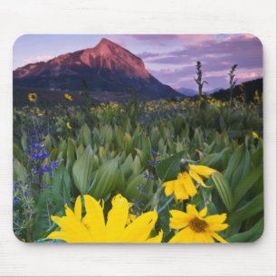 Tapis De Souris États-Unis, Colorado, Mt. Crested Butte