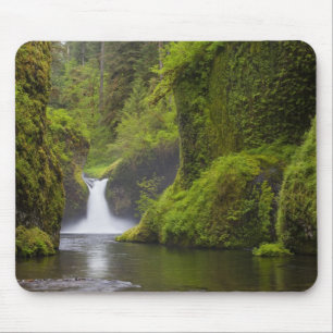 Tapis De Souris États-Unis, Eagle Creek, Columbia Gorge, Oregon. 3
