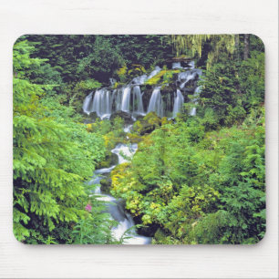 Tapis De Souris États-Unis, État de Washington, Mt Adams Wildernes