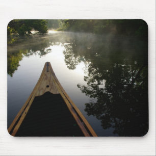 Tapis De Souris États-Unis, Floride, Forêt nationale d'Ocala, Alex