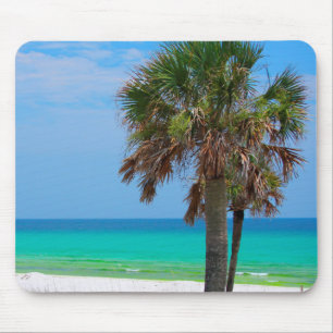 Tapis De Souris États-Unis, Floride. Palmiers sur la côte d'émerau