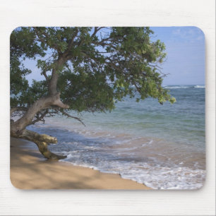 Tapis De Souris États-Unis, Hawaï, Kauai, paysage de plage. RF)