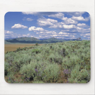 Tapis De Souris États-Unis, Idaho, comté de Camas Artemisia et lup