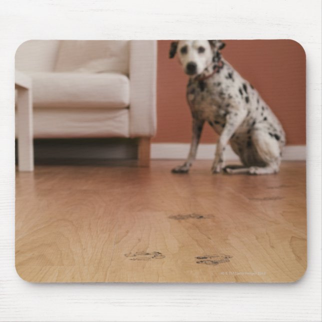 Tapis De Souris États-Unis, Illinois, Metamora, Gros plan avec (Devant)