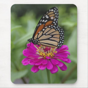 Tapis De Souris États-Unis, Massachusetts, Boylston, Tower Hill