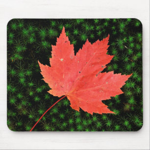 Tapis De Souris États-Unis, Missouri, Forêt nationale Mark Twain