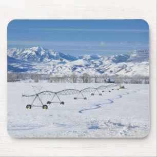 Tapis De Souris États-Unis, MT, Ferme près de Livingston