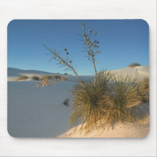 Tapis De Souris États-Unis, Nouveau-Mexique, White Sands National 