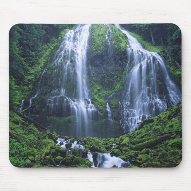 Tapis De Souris États-Unis, Oregon, Forêt nationale de Willamette. (Devant)