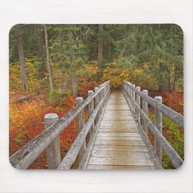 Tapis De Souris États-Unis, Oregon, Forêt nationale de Willamette. (Devant)