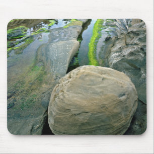 Tapis De Souris États-Unis, Oregon, Shore Acres State Park