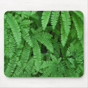 Tapis De Souris États-Unis, Oregon, Silverton. Adiante pédalé