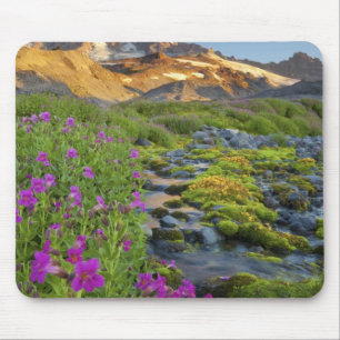 Tapis De Souris États-Unis, Parc national du Mont Rainier, Washing