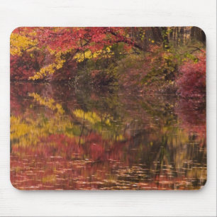 Tapis De Souris États-Unis, Pennsylvanie, Delaware Water Gap Natio