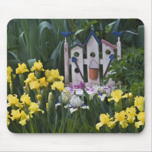 Tapis De Souris États-Unis, Pennsylvanie. Les iris de jardin pouss