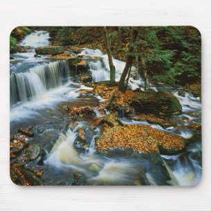Tapis De Souris États-Unis, Pennsylvanie, Parc d'État de Ricketts 