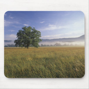 Tapis De Souris États-Unis, Tennessee. Grandes montagnes fumées
