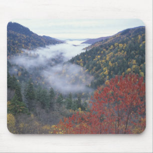 Tapis De Souris États-Unis, Tennessee, Great Smokey Mountains Nati