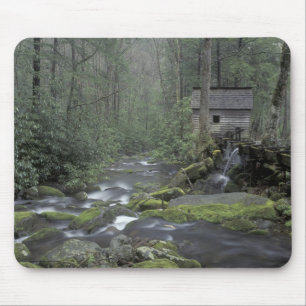 Tapis De Souris États-Unis, Tennessee, Great Smoky Mountains Nati