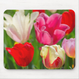 Tapis De Souris États-Unis, Tennessee, Nashville