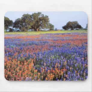 Tapis De Souris États-Unis, Texas, Llano. Bluebonnets et redbonne