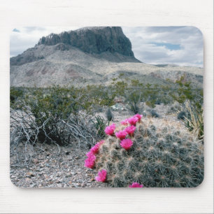 Tapis De Souris États-Unis, Texas, Parc national de Big Bend. Flor