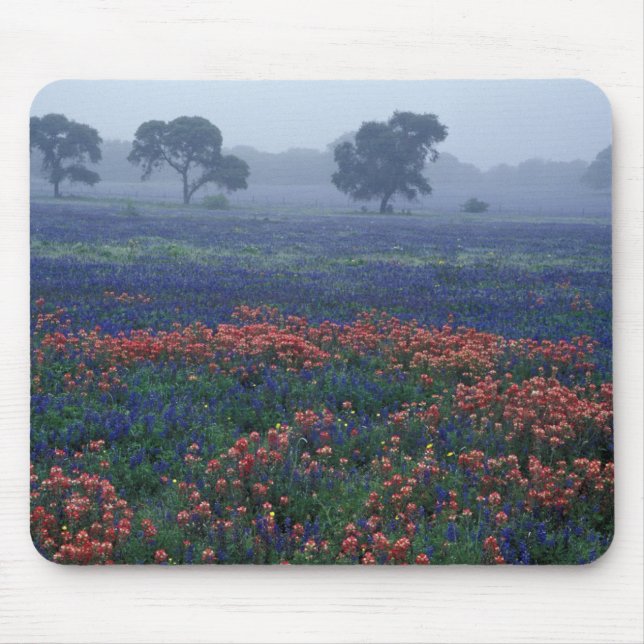 Tapis De Souris États-Unis, Texas, près de Lytle Fog, chênes, bleu (Devant)
