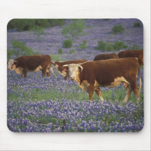 Tapis De Souris États-Unis, Texas, Texas Hill Country, Hereford