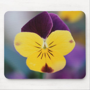 Tapis De Souris États-Unis, Utah, gros plan de Viola tricolor dans