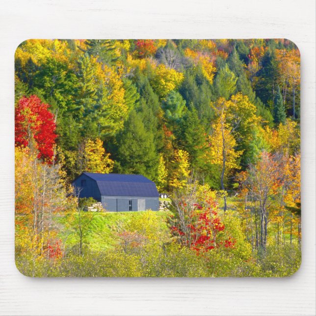 Tapis De Souris États-Unis, Vermont. Feuillage d'automne le long d (Devant)