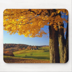 Tapis De Souris États-Unis, Vermont. Scène de ferme près de South