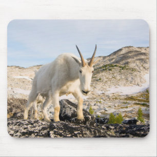 Tapis De Souris États-Unis, Washington, chaîne des Cascades 3