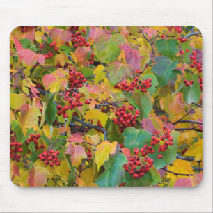Tapis De Souris États-Unis, Washington, comté de Spokane, Hawthorn