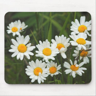 Tapis De Souris États-Unis, Washington, Seattle, Puget Sound 3