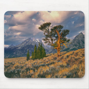 Tapis De Souris États-Unis, Wyoming, Grand Teton NP. Le lever du s