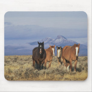 Tapis De Souris États-Unis, Wyoming, près du groupe de chevaux de
