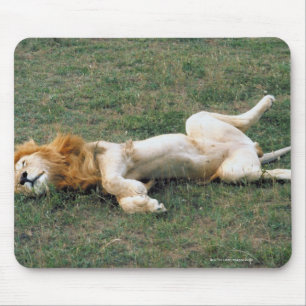 Tapis De Souris Étirage masculin de lion