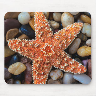 Tapis De Souris Étoiles de mer sur des roches